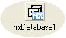 nxDatabase1